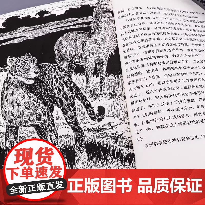 骆驼王子 动物小说大王沈石溪品藏书系升级版 7-10-12岁儿童读物 二三四五六年级初中小学生课外阅读书籍 儿童故事长篇高清大图