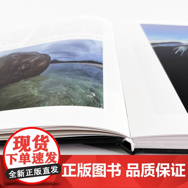 [央视网] 万物有灵 国际野生生物摄影年赛第51届获奖作品 动物自然摄影集艺术画册书籍HL高清大图
