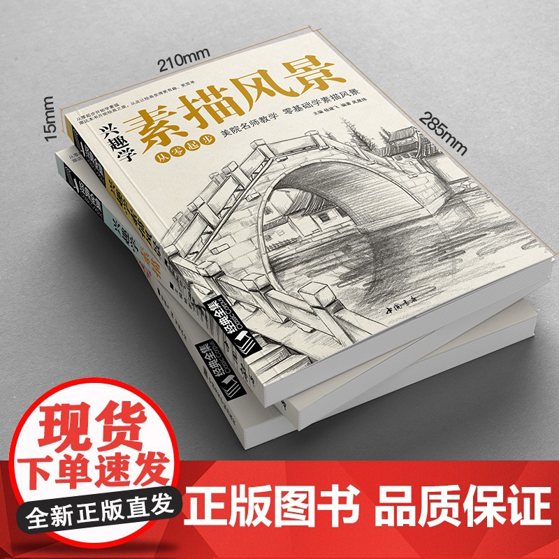 经典全集 兴趣学素描/速写/风景3本套装 零基础入门 画画自学素描入门 绘画步骤详细一步一画 素描临摹画册书籍杨建飞主编高清大图