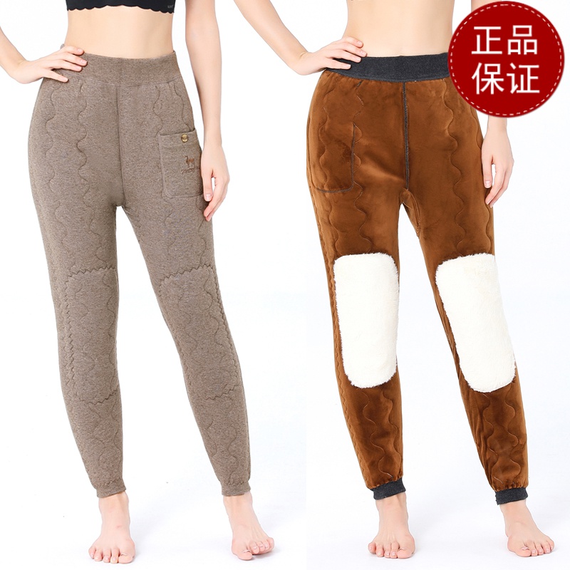 免费试穿鄂尔多市驼绒棉裤男加绒加厚羊绒裤老年保暖裤冬季内穿羊毛裤女全羊毛纯毛冬季保暖高腰 170（L） 五层驼绒（女士驼色）