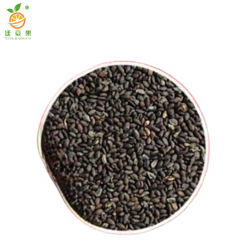 廷豪果 薄荷种子 1000粒/包高清大图