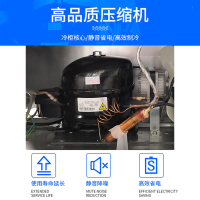冰熊(bing xiong)BC/BD-236AB升商用大冰柜 卧式大冰库冷柜 冷藏冷冻转换展示柜 卧式双门顶开冰柜