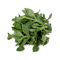 田七叶500g 田三七 山漆 野菜 新鲜蔬菜