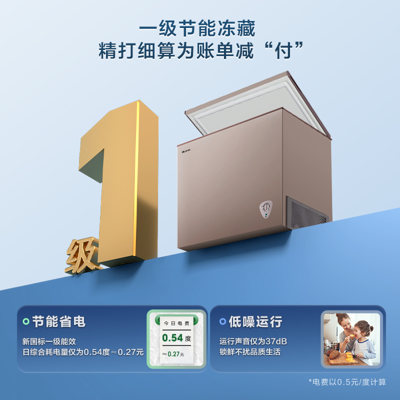 海信(Hisense) 203升 家商两用冰柜 断电保护 一级能效冷藏冷冻转换冰柜 单温卧式冷柜BD/BC-203NUD
