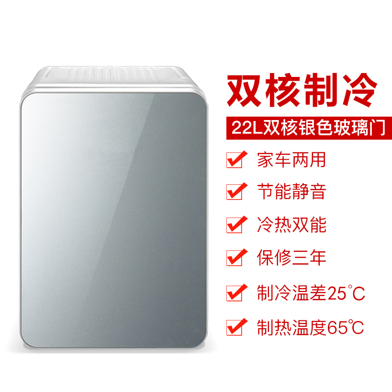 先科(SAST)电子冰箱22L迷你小冰箱双制冷车载微小型宿舍二人世界车家两用单门式 双核银色玻璃门