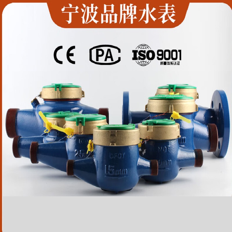 宁波牌LXS-50F水表 长度280mm(含检测)货期7-10天高清大图