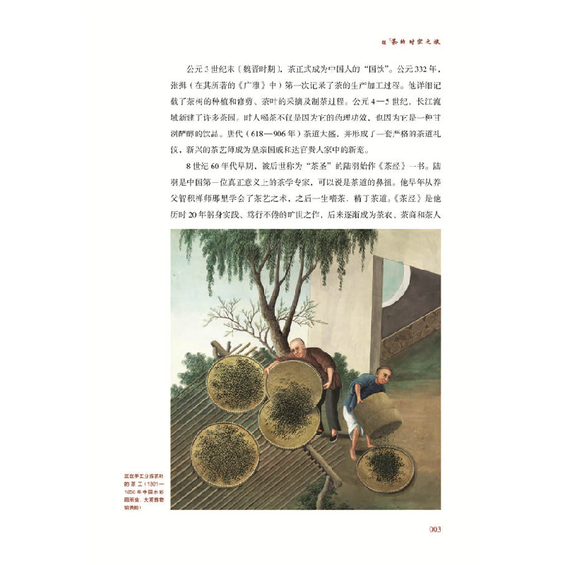 正版新书]茶行世界:环球茶旅指南简·佩蒂格鲁中国科学技术出版社高清大图