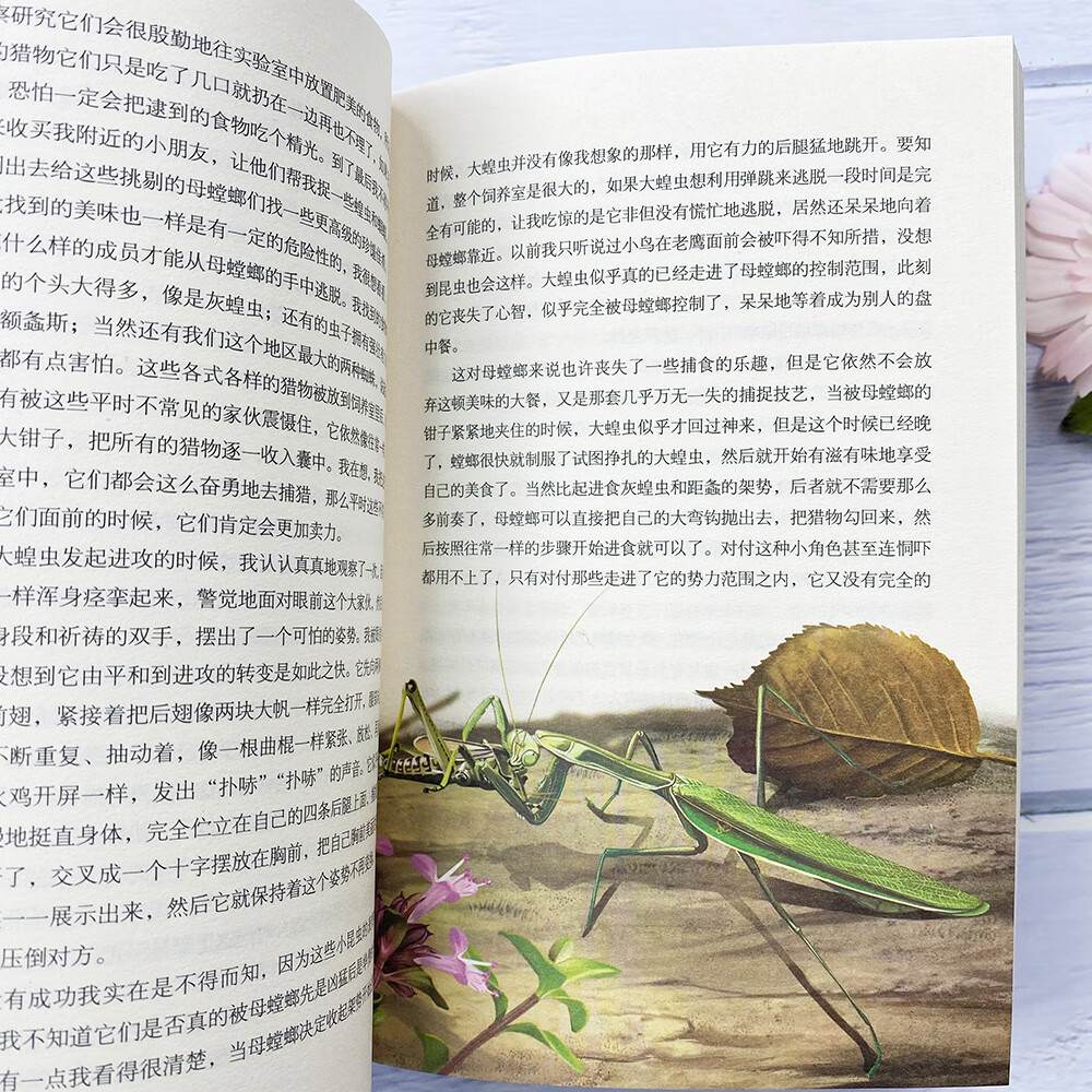 法布尔昆虫记正版原著完整版昆虫记彩图版科普八年级上初中课外阅读书籍昆虫图鉴昆虫百科全书昆虫书籍昆虫记光波译文学书 昆虫记高清大图