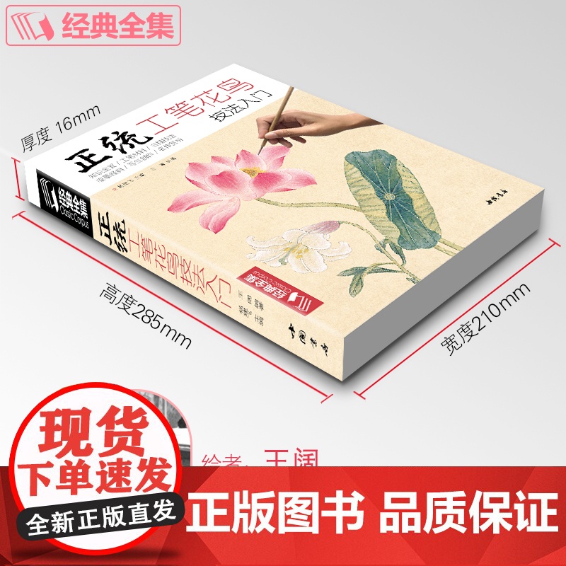 正统工笔花鸟技法入门基础教程书籍中国工笔画白描勾线杨建飞sh高清大图