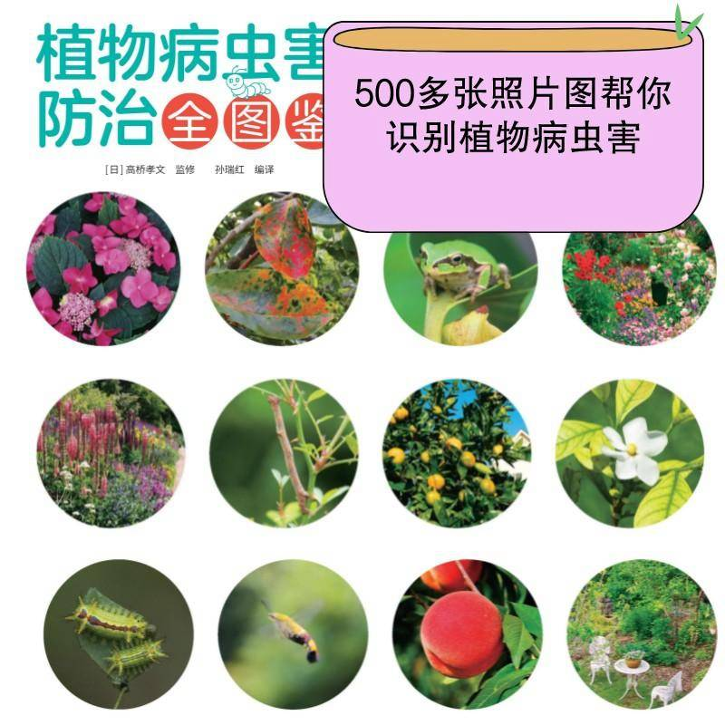 醉染图书植物病虫害防治全图鉴9787111704515高清大图