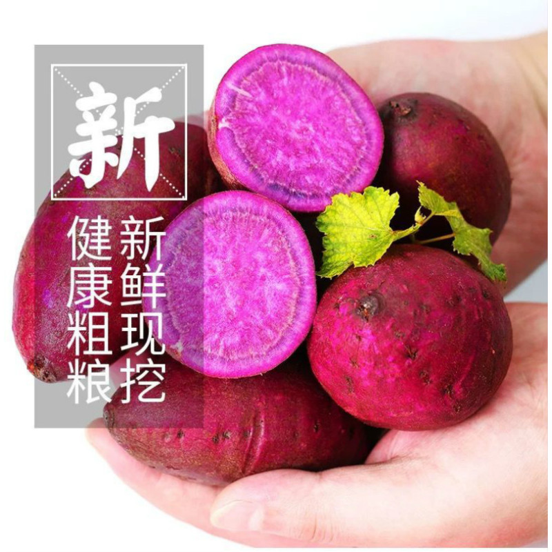 [江苏乡村振兴][财政集采][灌南]灌农现挖紫薯10斤