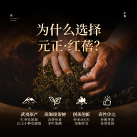 [元正]茶颜红蓓浓香型红茶正宗武夷山小种红茶叶散装武夷红茶罐装 3罐 共150g