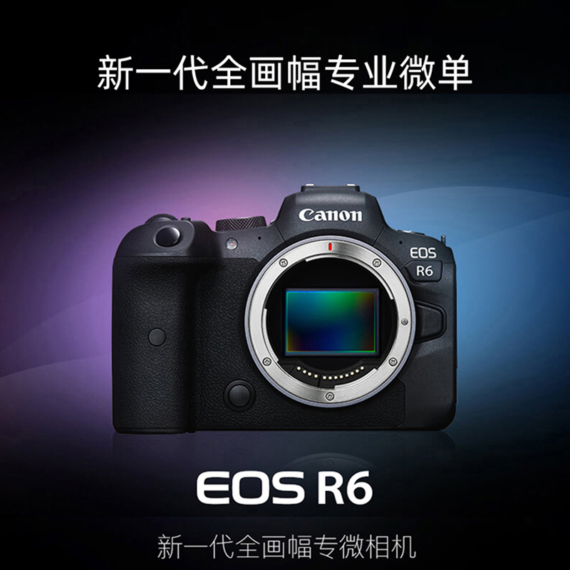R6 +RF 24-105/4-7.1 STM