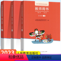 3本套装 [正版]2023幼儿园领域活动课程 教师用书(科学 艺术)小班下册中班下册大班下册任选