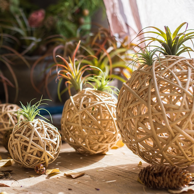 美帮汇柳编球 挂件摆件装饰品 手工艺品 藤球 25cm