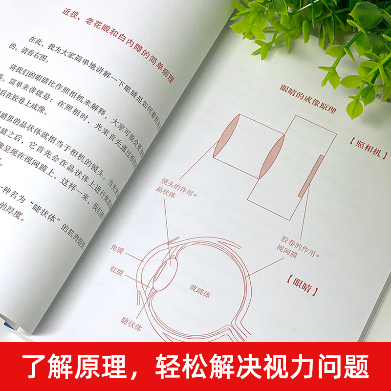 [正版]一分钟视力革命视力恢复眼睛视力训练图眼科书籍视觉训练的原理和方法眼视光学拒绝近视眼科学基础视力恢复训练册临床视光高清大图