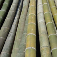 企购优品旗杆菜架竹竿菜园搭架竹竿 横幅杆细竹子豆角架竹子