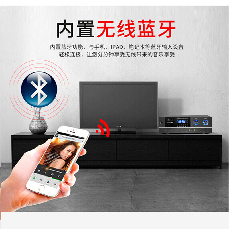 先科(SAST)PA-315V 功放机大功率家用KTV家庭影院卡拉OK家用客厅K歌音响音箱功率放大器[光纤同轴版]高清大图
