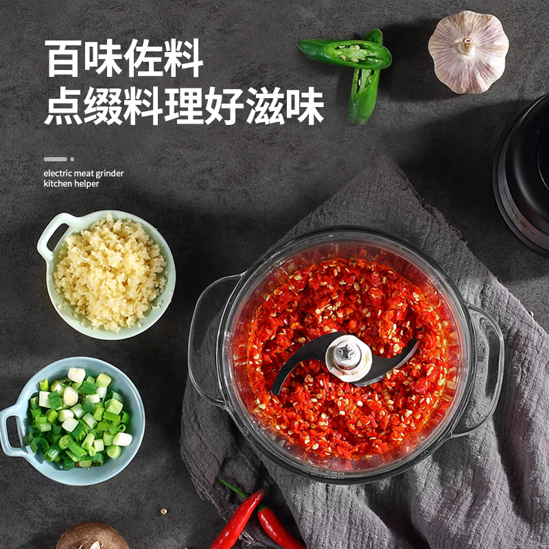 东菱(Donlim)绞肉机家用电动2L小型 多功能肉馅辅食料理 碎菜打肉搅拌机DL-JR373A