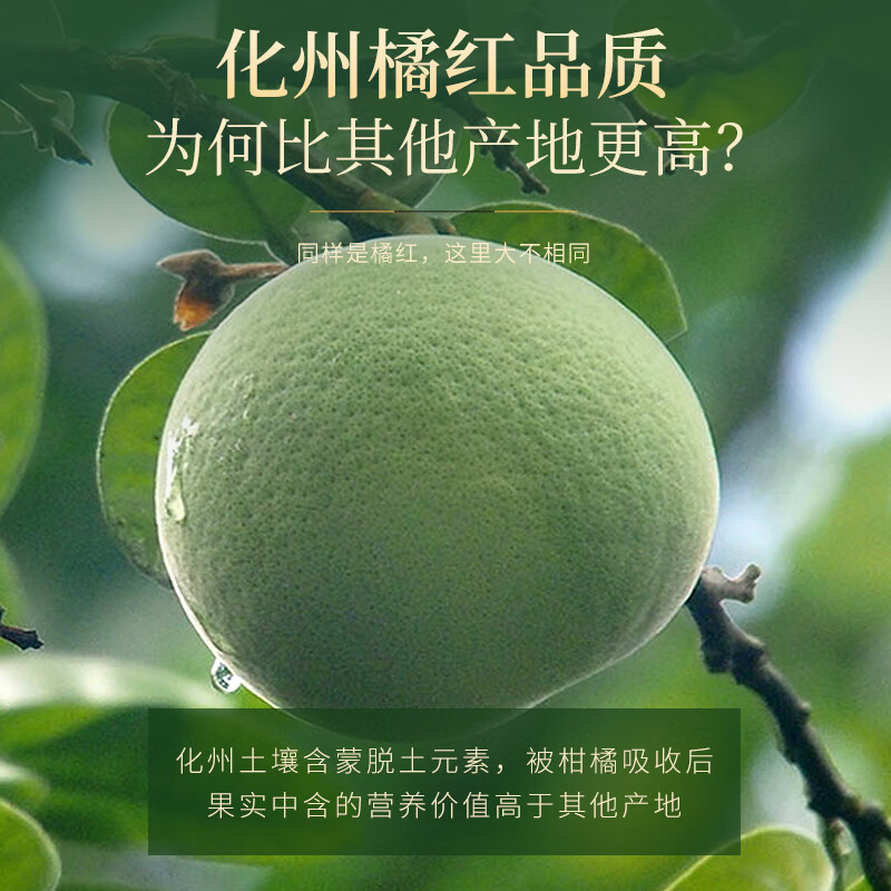 福东海(FU DONG HAI)化橘红(皮片) 150克(单位:盒)高清大图