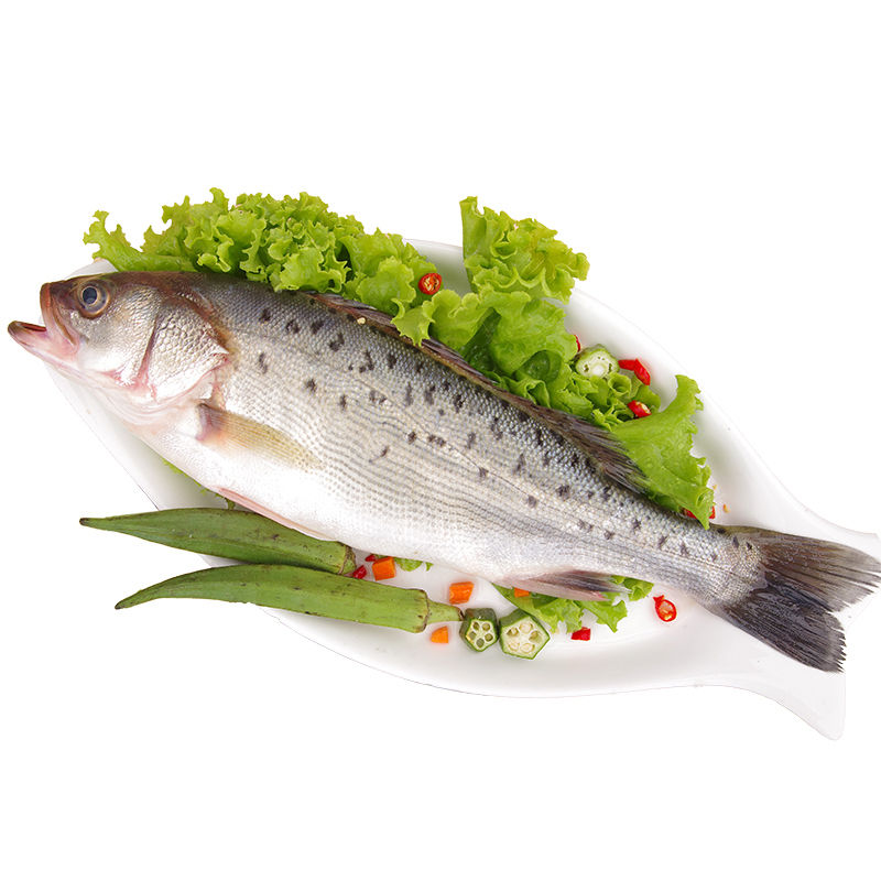 鲜活鲈鱼深海鱼新鲜水产海鲜七星海鲈鱼1斤海鲈鱼尝鲜装参数