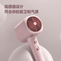 博锐电吹风PH1630