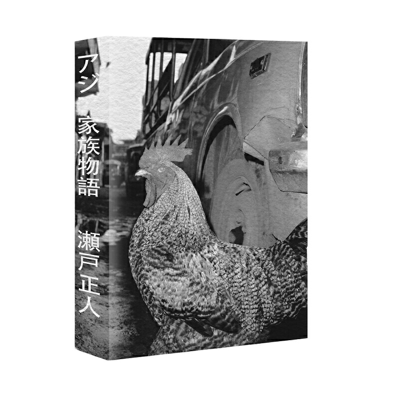 [正版]亚洲家族物语 托伊与正人 [日]濑户正人 著 一个以摄影为主的家族故事一段现代亚洲史 的缩影 外国随笔 文学书高清大图