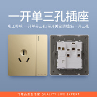 飞雕(FEIDIAO)开关插座86型家用暗装 超大面板钢支架 雕琢系列电源墙壁开关面板 雕琢金一开单三孔插