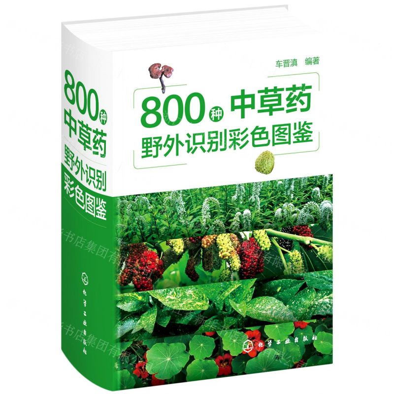 【N】800种中草药野外识别彩色图鉴(精)-9787122397928