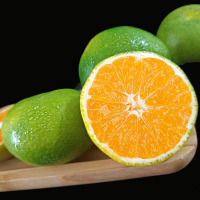 宜昌秭归蜜橘 5斤 薄皮桔子蜜桔 果园直发 新鲜蜜橘 薄皮桔子蜜桔 果园直发 新鲜采摘 坏果包赔 华中 仙一清水果