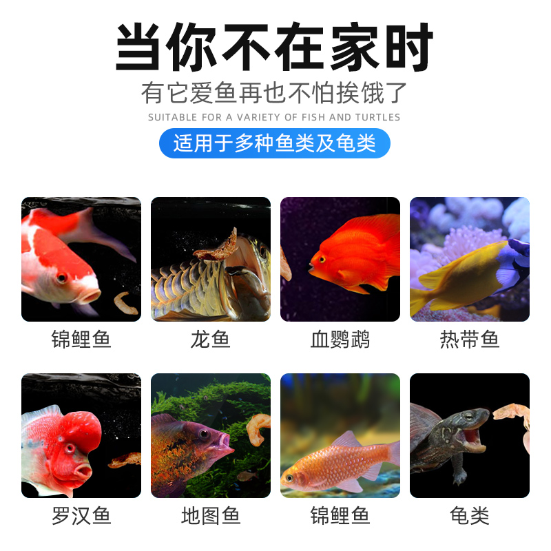 养鱼缸自动喂食器锦鲤金鱼小型投食器水族箱观赏鱼智能定时喂鱼器高清大图
