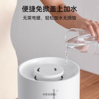 小米(MI)加湿器2 米家卧室空调家用办公室桌面立式大雾量空气净化 迷你低噪空气加湿 4L大容量银离子抗菌水箱