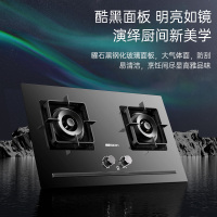帅康(sacon)KB01E燃气灶双灶台式嵌入式煤气灶700*400大开孔5.0kW大火力家用钢化玻璃炉具煤气炉天然气
