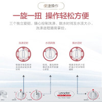 Leader海尔出品 10公斤大容量 双缸洗衣机 双桶洗衣机 洗脱分开 TPB100-1188BS