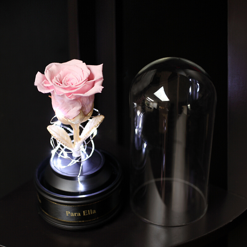 Para Ella 012系列永生花红色玫瑰花[冷灯光玻璃罩音乐礼盒]鲜花速递情人节创意礼物生日纪念日礼物送女友女生
