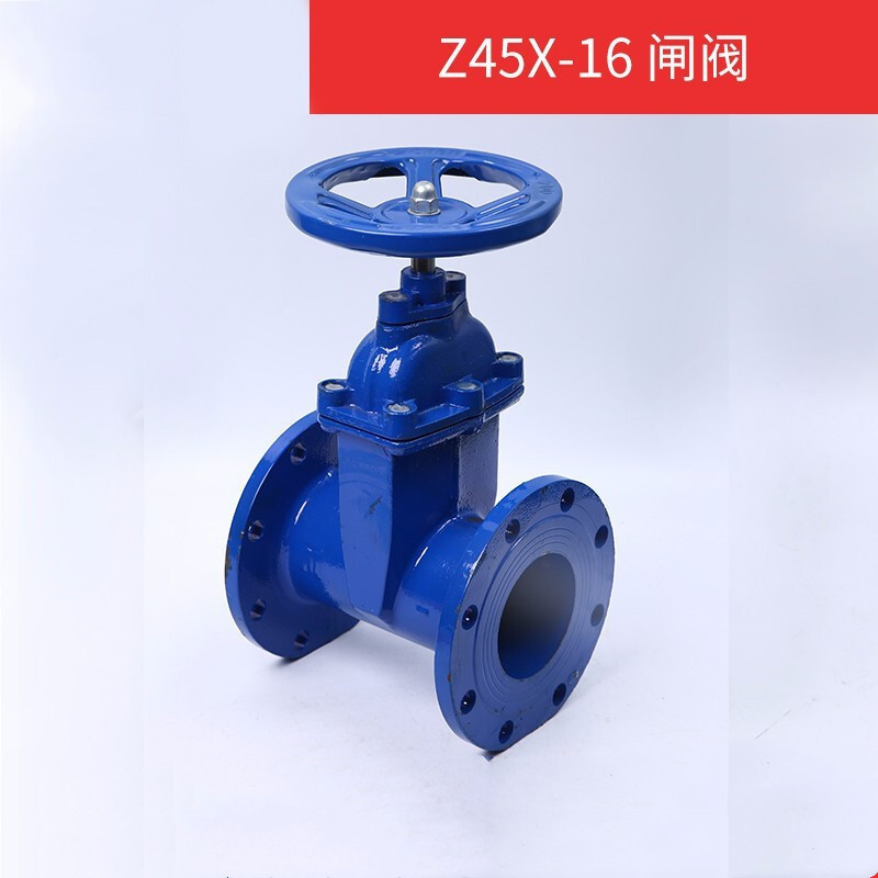 晶飞定制闸阀国标法兰弹性座Z45X-16 封暗杆闸阀消防自来水阀门 DN65[国标重体] DN65