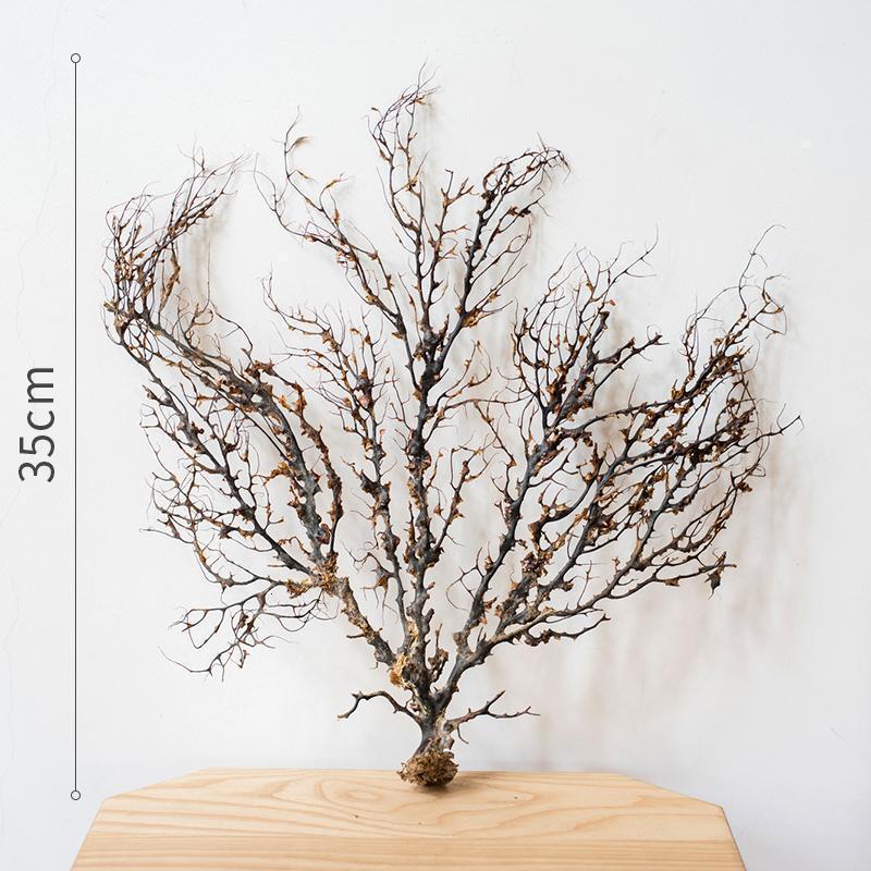 家柏饰(CORATED)海的 珊瑚树 海铁树 装饰摆件花艺搭配鱼缸造景 海树珊瑚A款高清大图