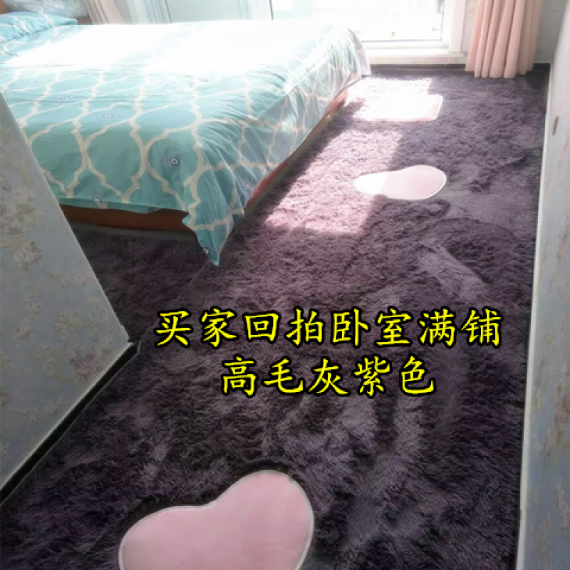 可水洗不色丝毛客厅卧室茶几地毯沙厅床边满铺地毯可定制