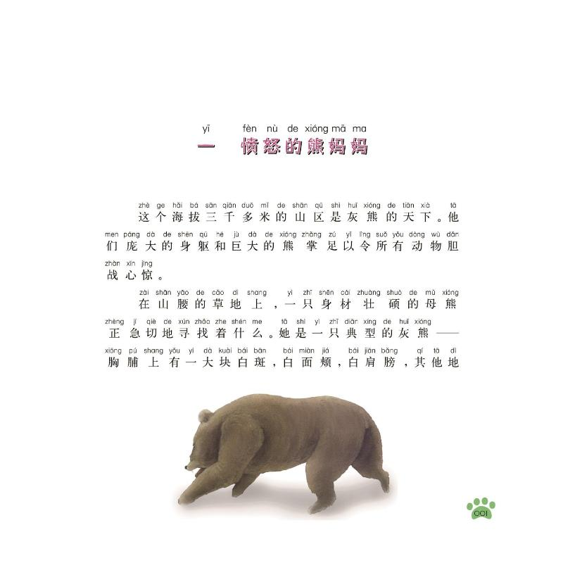 醉染图书熊王9787531348092高清大图