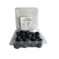新全新蓝莓100克*5盒/份