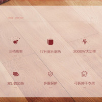 格力(GREE)电油汀取暖器 NDY19-S6130 17片3000W家用 油丁电暖器 节能取暖器 干衣加湿暖气片 油汀