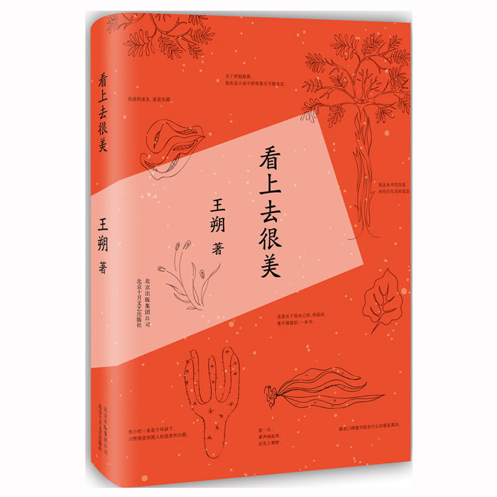 [正版]王朔作品集套装4册 动物凶猛+一半是火焰一半是海水+我是你爸爸+看上去很美 王朔小说集文集自选集全集 文学小高清大图