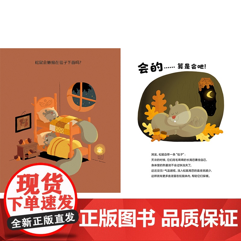 青蛙喝热巧克力吗? 动物的保暖小妙招3-6岁儿童图画书 动物如何保暖?一本书讲透动物的“适应性特征”高清大图