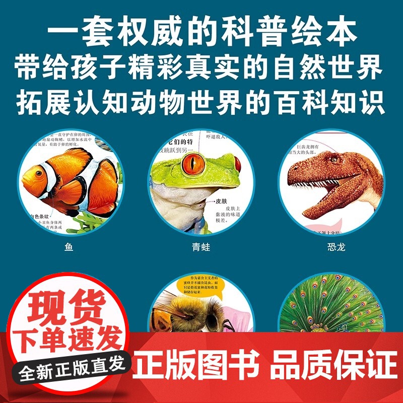 正版动物家族大百科全6册孩子认识动物世界6到12岁儿童科普类读物知识科普绘本让孩子感受精彩绝伦的动物原来这么大亲子读物高清大图