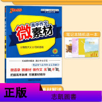PASS绿卡图书 高中作文素材 微言大义巧析活用 高考作文素材 高考作文提分素材工具书 湖南师范大学出版社