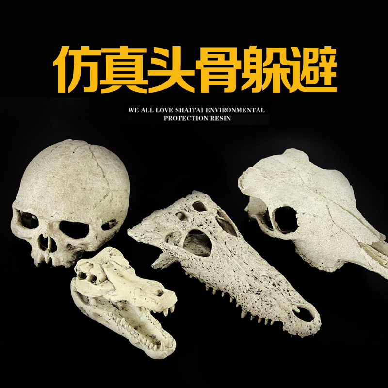 爬箱龟箱装饰爬虫蜥蜴热带沙漠恐龙头骨骷髅造景蜘蛛躲避洞穴高清大图