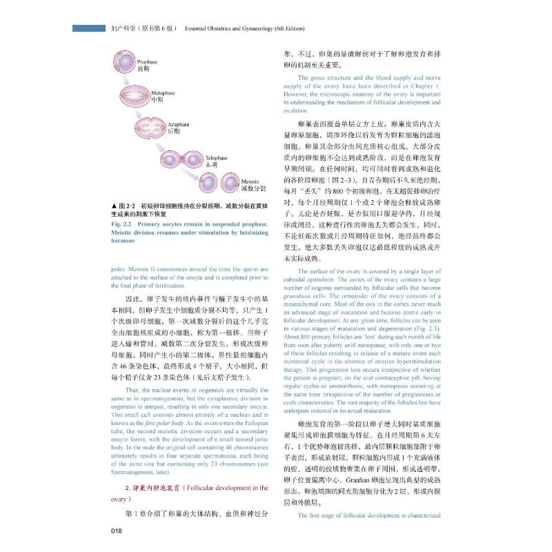 [正版]妇产科学 原书第6版 中英双语版 (澳)伊恩·西蒙兹,(英)萨巴拉特南·阿鲁库马兰 著 陈子江,石玉华,杨慧霞高清大图