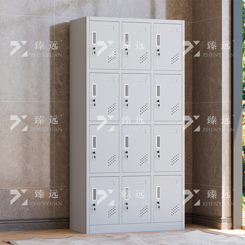 臻远 ZY-GYGC-72 员工更衣柜存包柜浴室换衣柜健身房多门储物柜 12门纯白