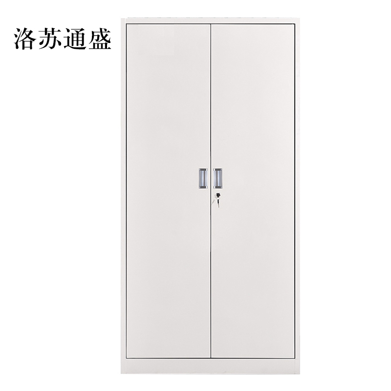 洛苏通盛钢制文件柜资料柜档案柜财务凭证柜带锁储物柜铁皮柜书柜铁开门文件柜常规款