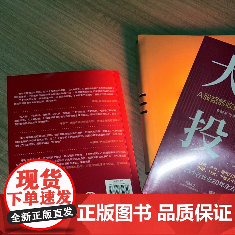 正版 大势投资 A股超额收益行业与选股策略 李美岑 A股最新超额收益行业与选股策略 投资 超额收益 选股策略 新财富高清大图